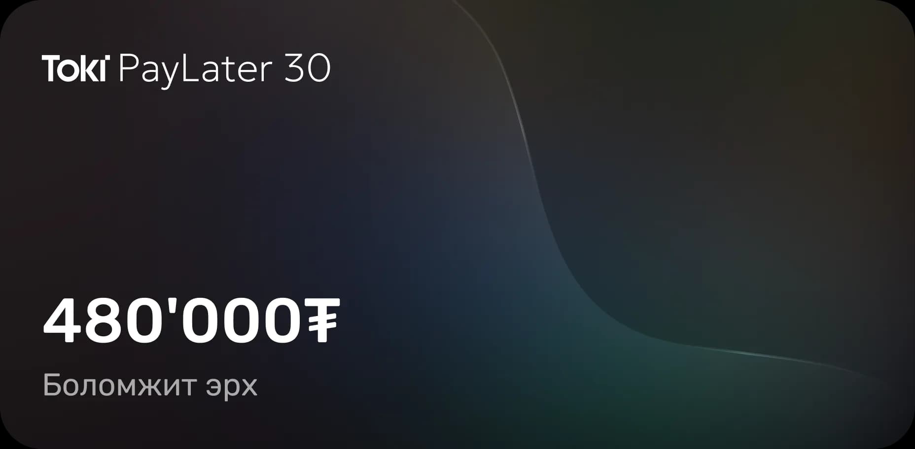 Toki PayLater 30 — 1'000'000₮ боломжит эрх