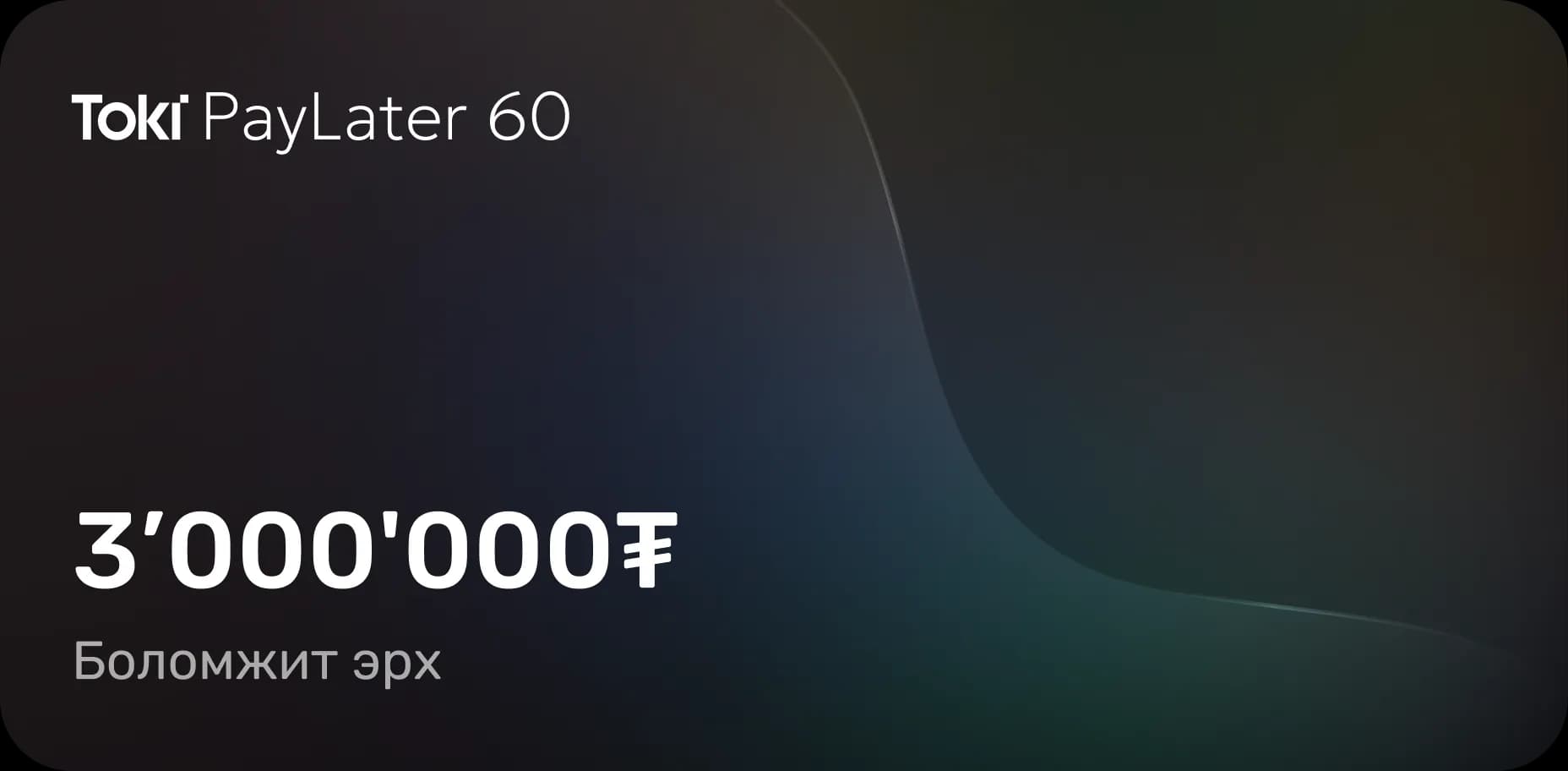 Toki PayLater 60 — 1'000'000₮ боломжит эрх