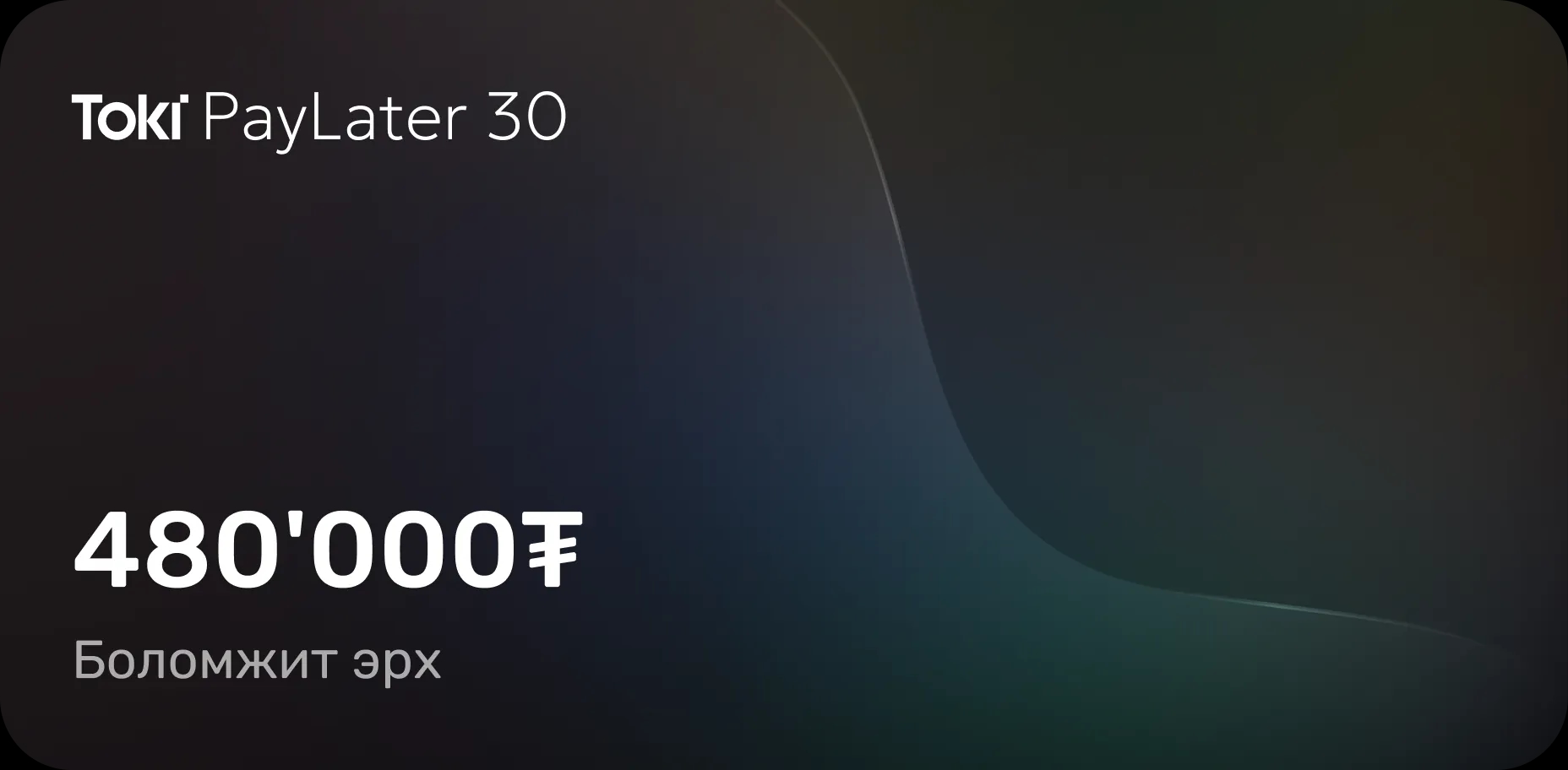 Toki PayLater 30 — 1'000'000₮ боломжит эрх